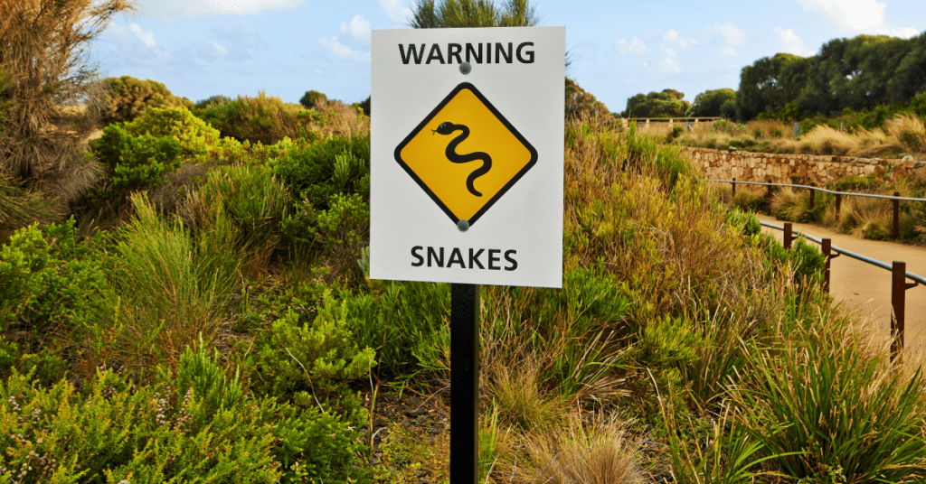 Warning sign snakes, greenery in background.