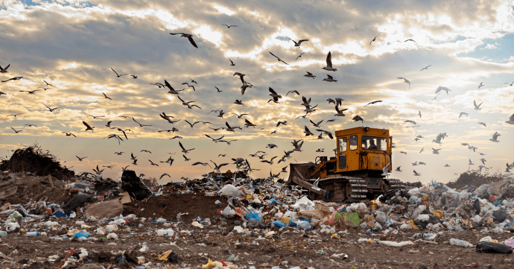 Why Single Use is A Problem Landfill With Plastic Bags