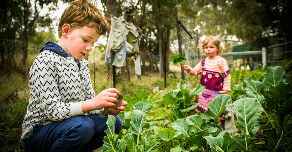 A young boy and a young girl walking through a vegetable garden and picking produce